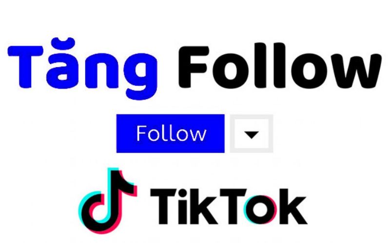 Khóa Học TikTok Cho Người Mới Bắt Đầu - Bạn Nhận Được Gì?