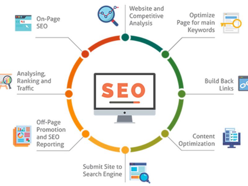 Lộ trình học chi tiết – Bắt đầu từ con số 0