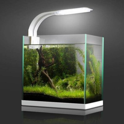Đèn bể cá mini là gì?
